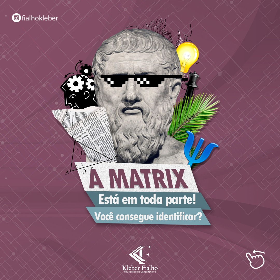 Lá vai uma definição mais elaborada do que chamamos MATRIX 21!